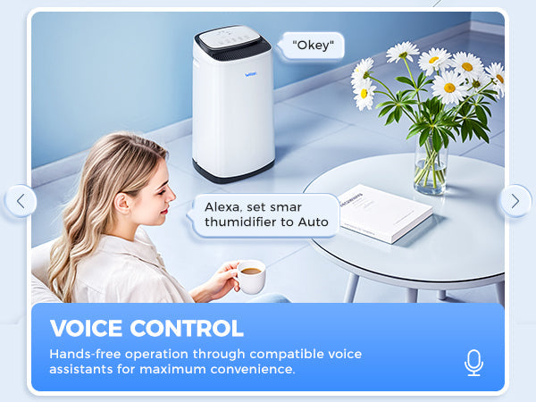 Say goodbye to dampness! The WHOY Smart Dehumidifier creates a comfortable and dry home environment.